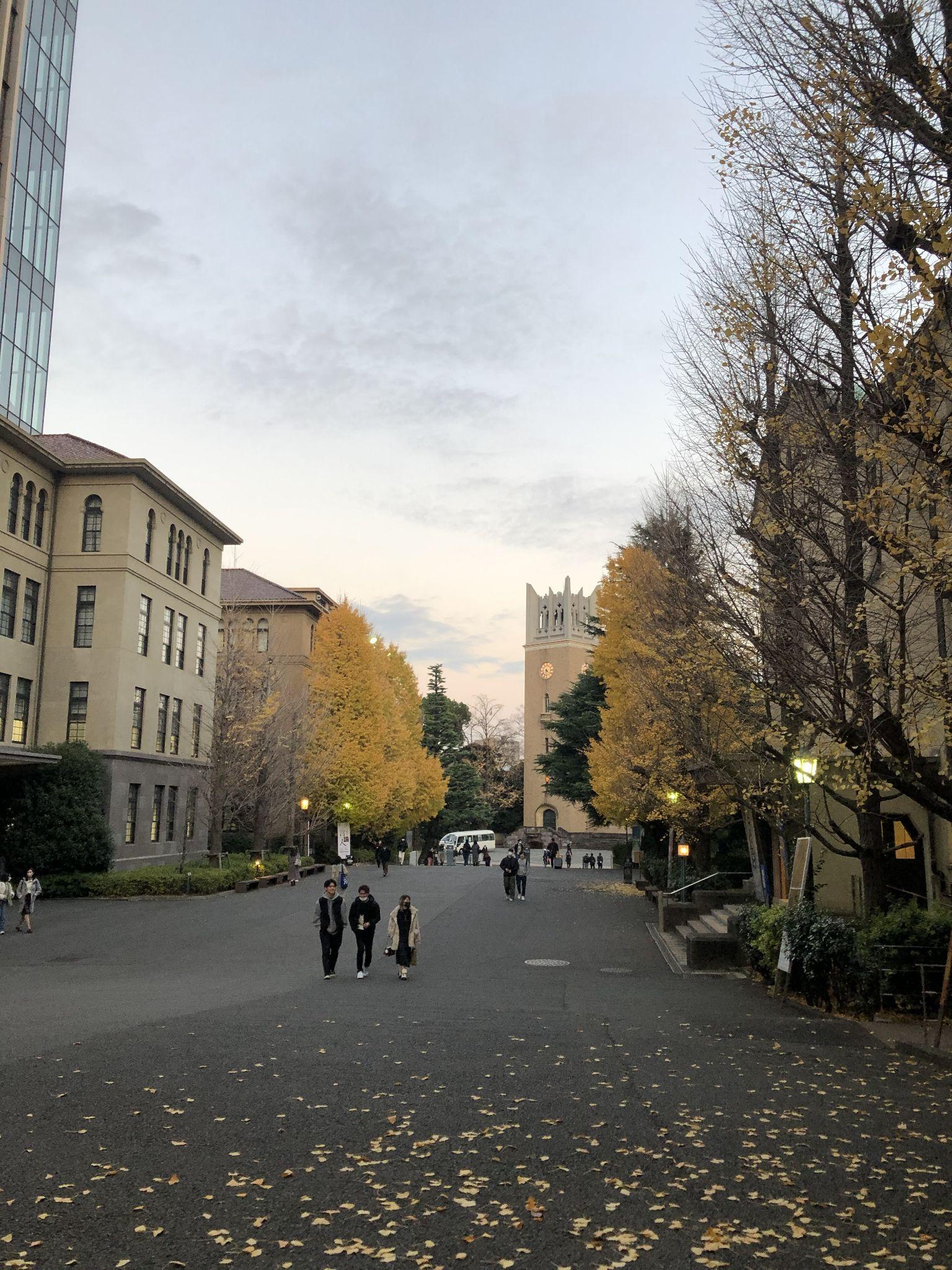 Waseda Main Campus – Winter Season