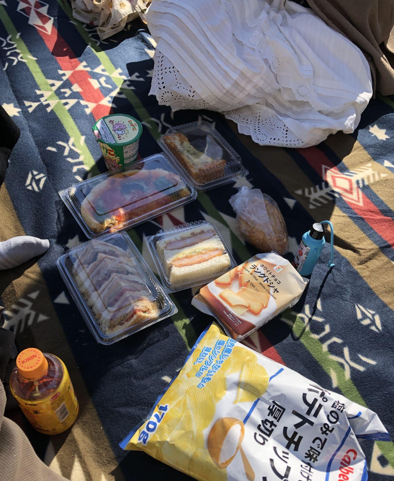 Picnicking at Shinjuku Gyoen