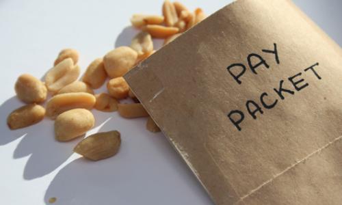 grey paper bag spilling peanuts with the words "pay packet" written on it