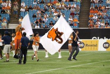 people holding a bc lions flag running across the field