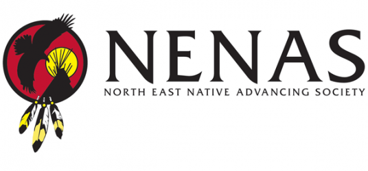 NENAS banner and logo