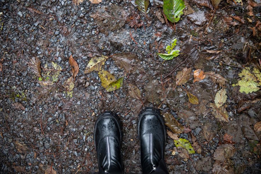 A photo of boots standing on wet leaves