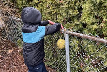 A child trying to get a ball stuck between a bush and a fence