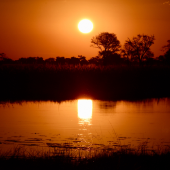 Okavango delta, botswana; sunset over water