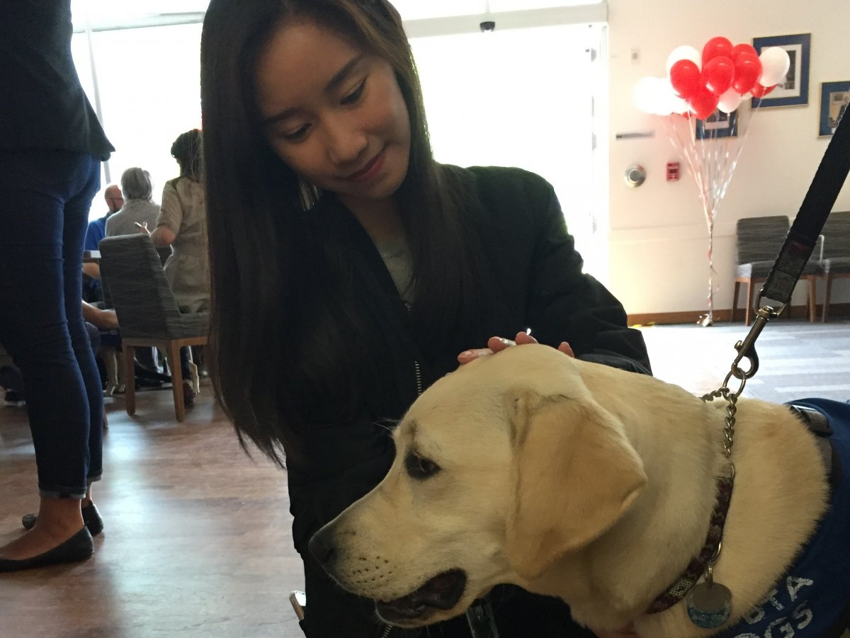the author petting a dog at her workplace