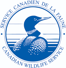 Canadian Wildlife Service logo with a duck, similar to a Canadian Loonie