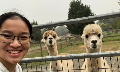 Rachel-Gayle Tan standing next to alpacas.