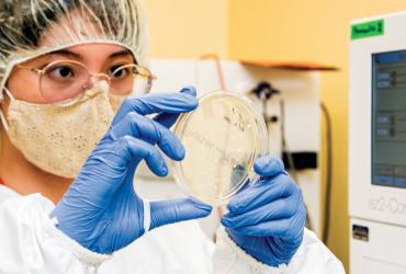 Research associate Flora Chong holding agar plate in Burnaby-based Biotechnology company Symvivo