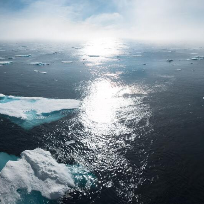 Multiple icebergs on the ocean