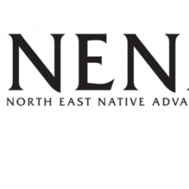 NENAS banner and logo