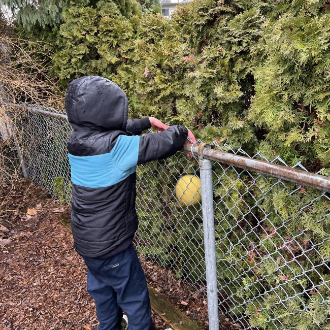 A child trying to get a ball stuck between a bush and a fence