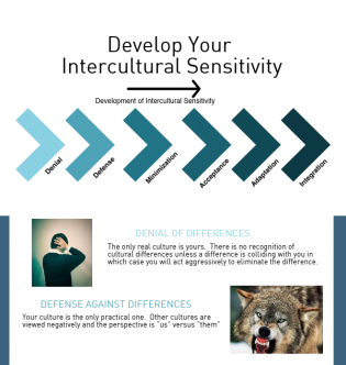 Develop Your Intercultural Sensitivity