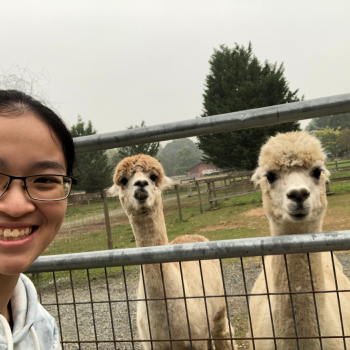 Rachel-Gayle Tan standing next to alpacas.