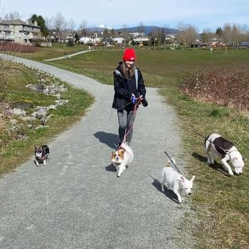 Audrey walking four dogs