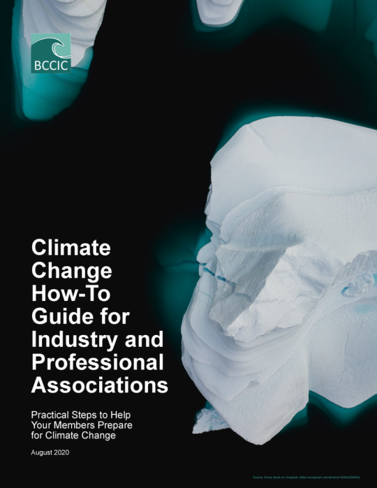 Cover of "Climate Change How-To Guide for Industry and Professional Associations", with an aerial image of icebergs.