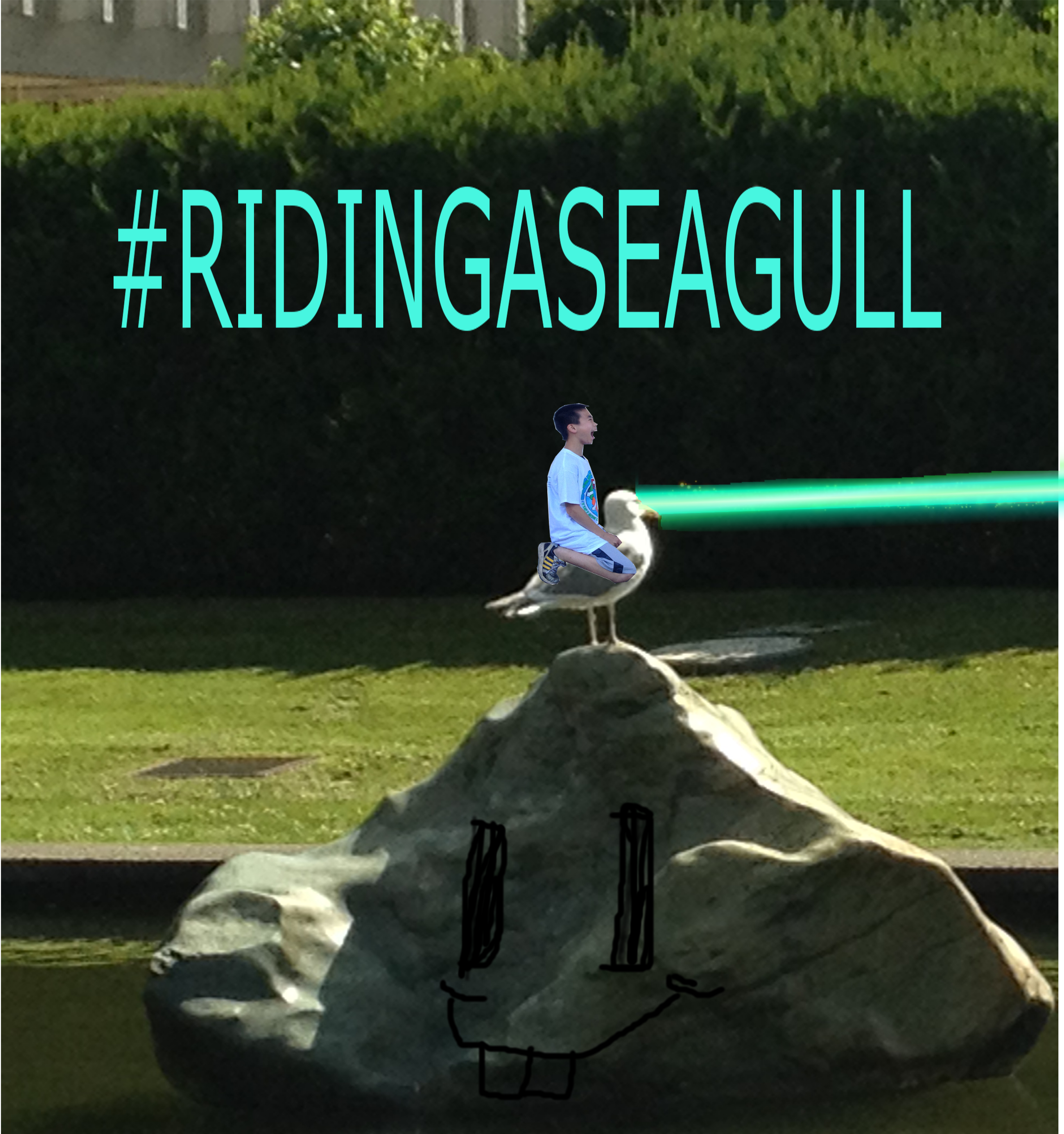 An edited image of a boy riding a seagull that is shooting neon green lasers out of its eyes with the caption #RIDINGASEAGULL