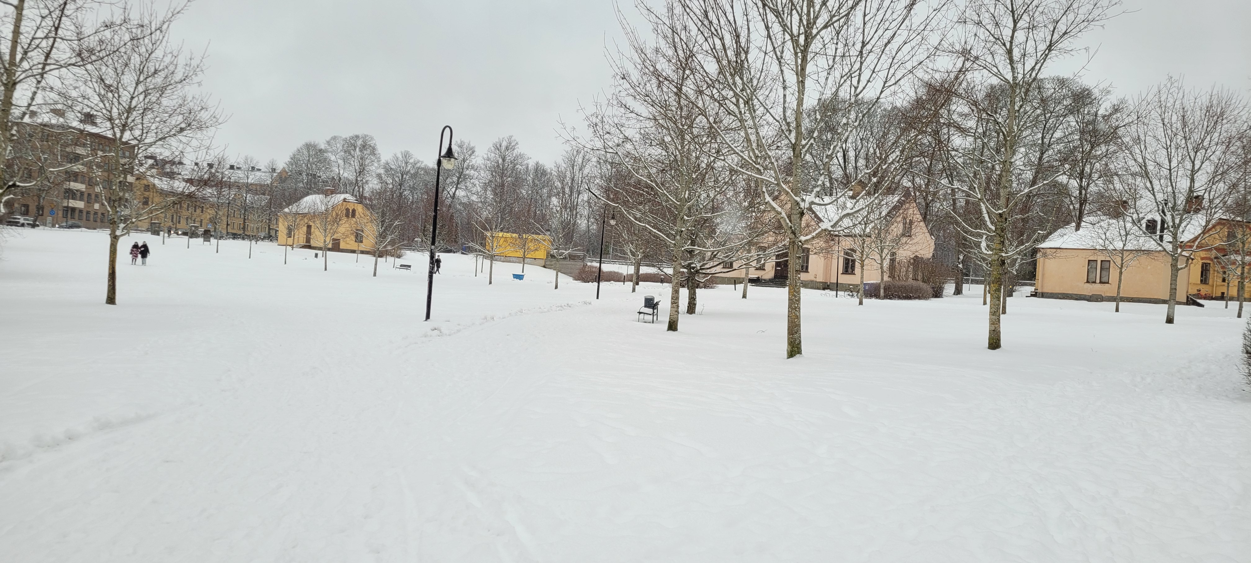 Snow covered park and paths in Uppsala