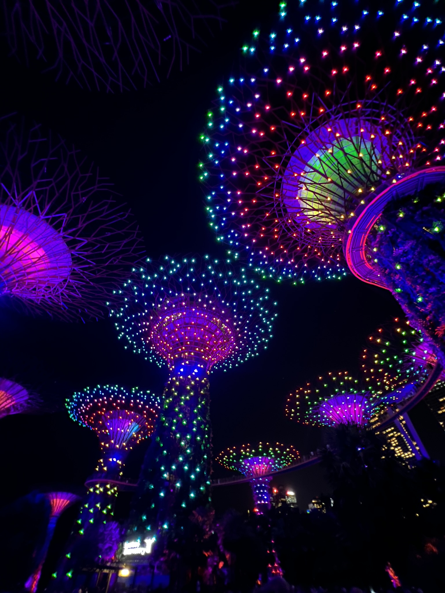 Light Show at Super Tree Grove