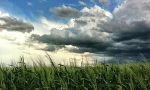 A partly cloudy sky sprawls above a grassy prairie field.