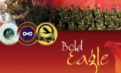 Bold Eagle banner