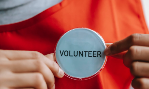 Hands holding a volunteer badge