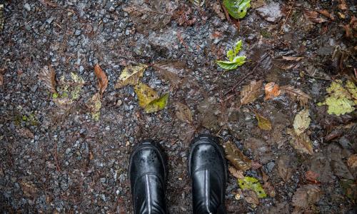 A photo of boots standing on wet leaves