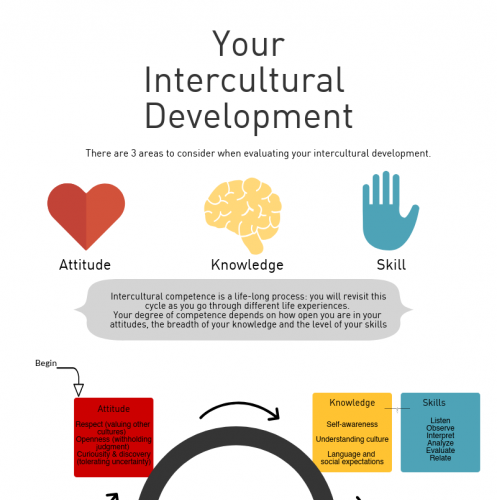 Your Intercultural Development