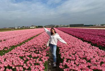 the Netherlands is famous for its many tulip fields in the spring months