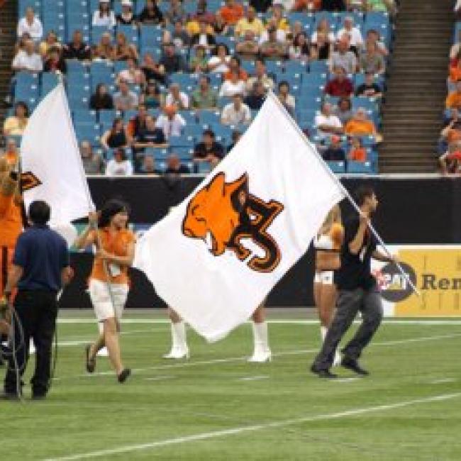 people holding a bc lions flag running across the field