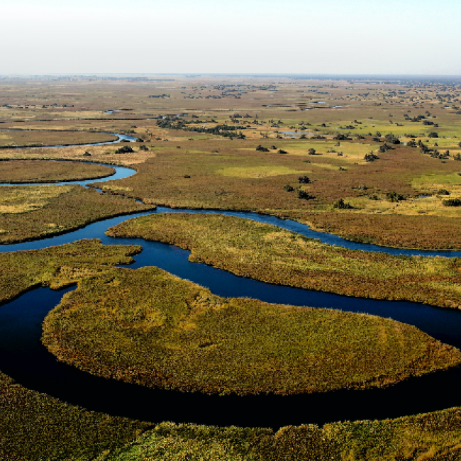 aerial photo of the Okavango River in Botswana