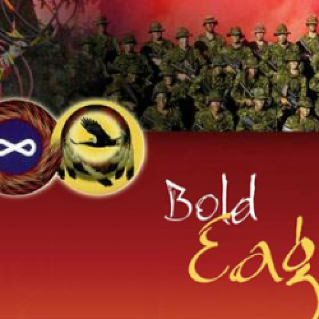 Bold Eagle banner