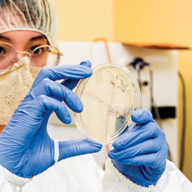 Research associate Flora Chong holding agar plate in Burnaby-based Biotechnology company Symvivo