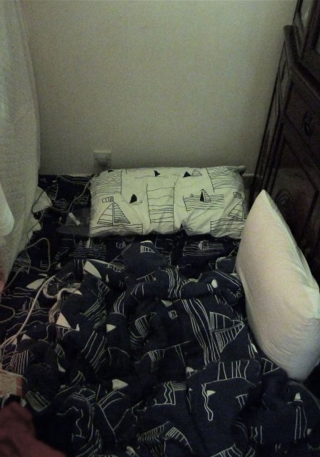the author's sleeping mattress