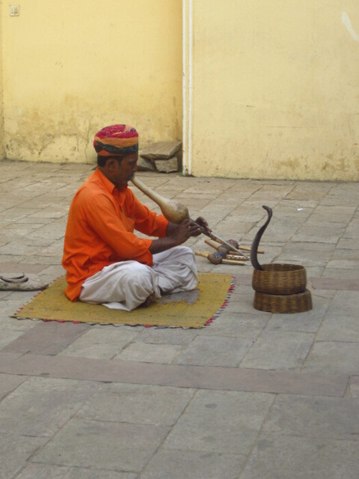 A man performing a snake charming show in the city of Jaipur
