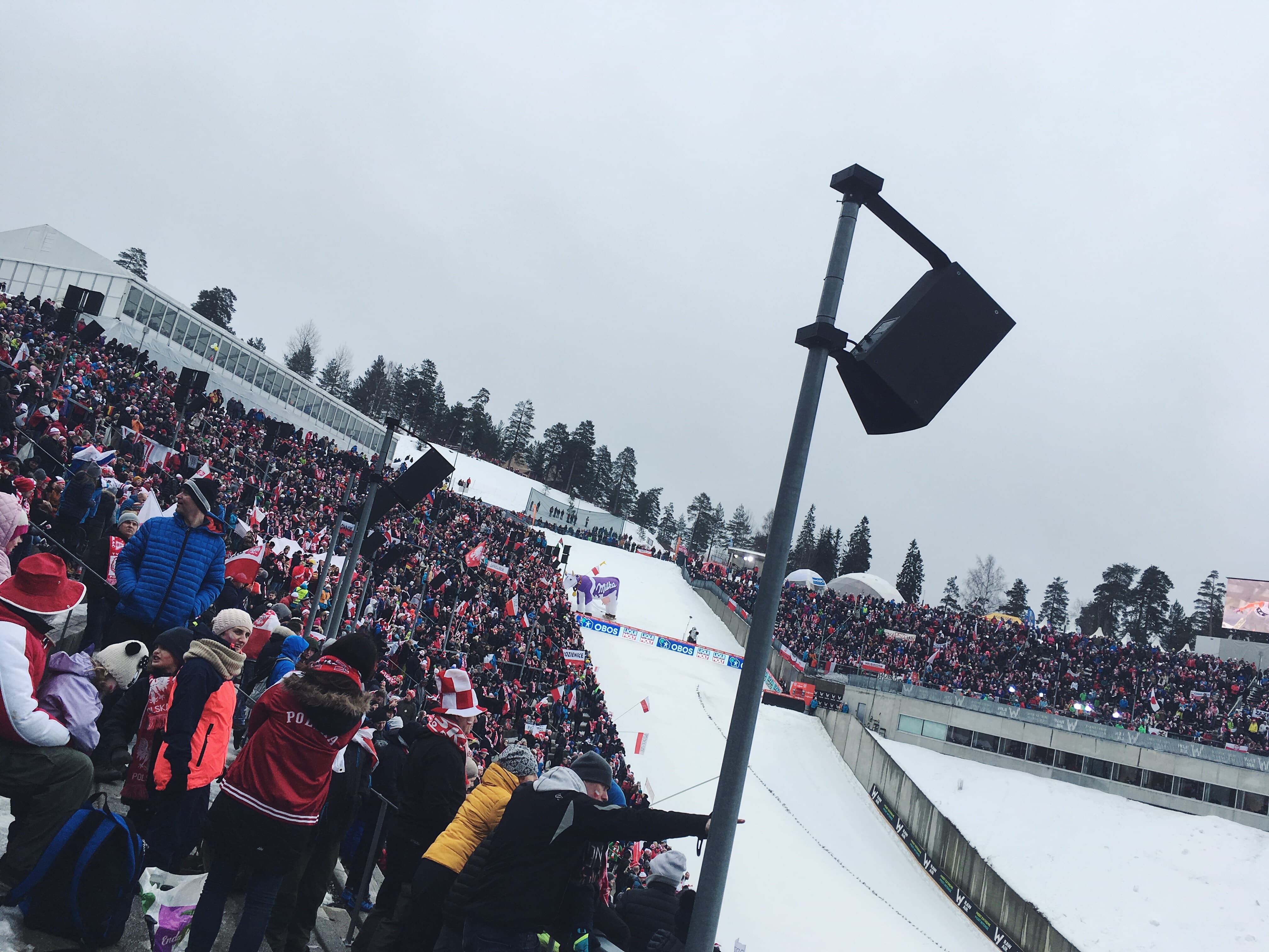 My friends and I attended a world ski jump competition at Holmenkollen (the major ski jump from the Olympics).