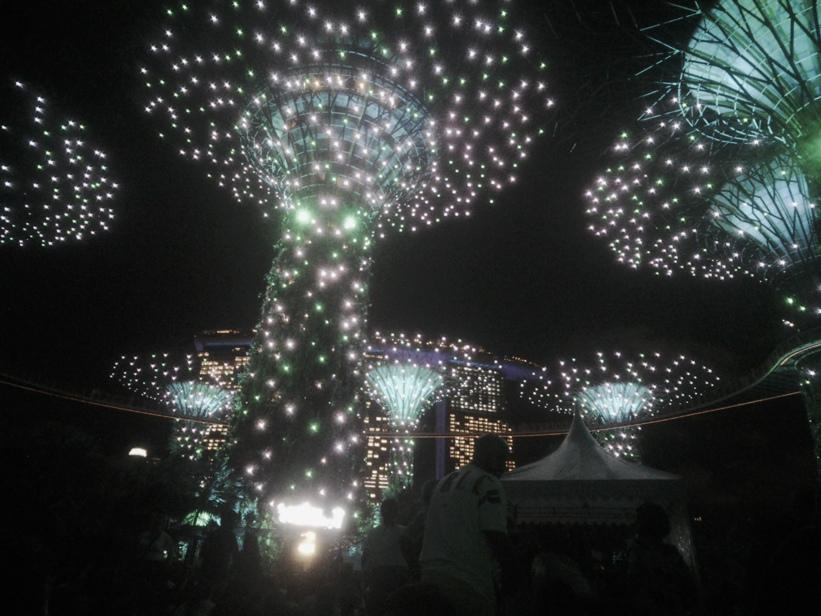 Supertree Grove - Gardens by the Bay