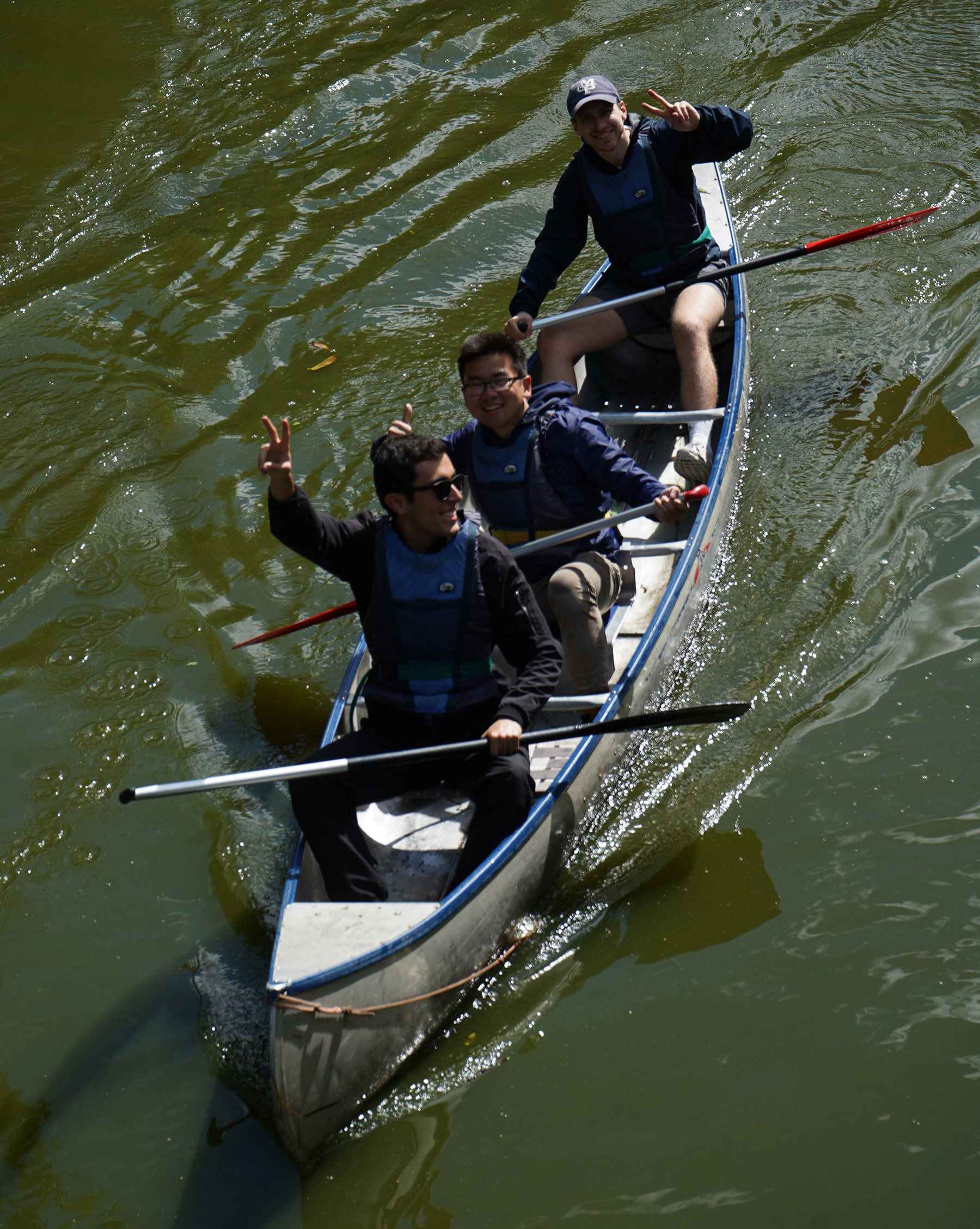 Bird's eye view of people canoing
