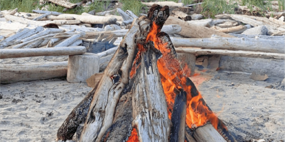 Image of a log bonfire on a beach