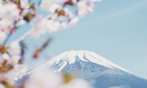 Fuji mountain on Unsplash