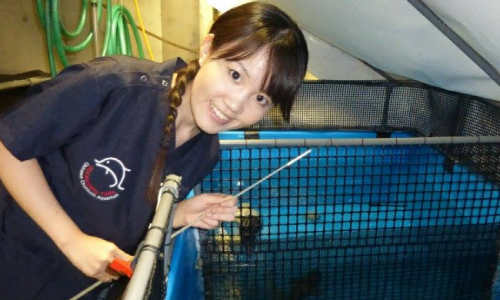 Yuka smiling over a tank of sharks she is taking care of