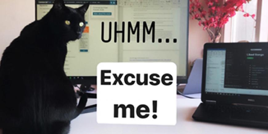 a black cat sitting next to a laptop with the caption that says uhm...excuse me!