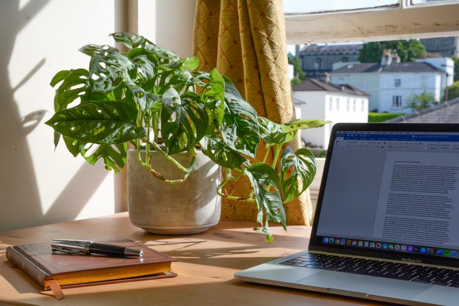 Laptop, plant, and notebook on a desk in front of a window