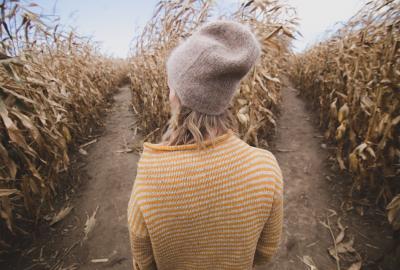A person standing at a crossroads in a corn maze