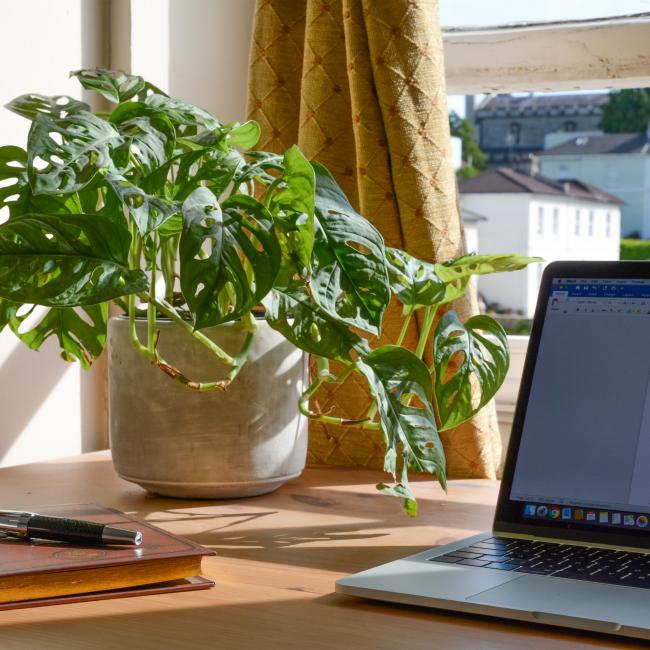 Laptop, plant, and notebook on a desk in front of a window
