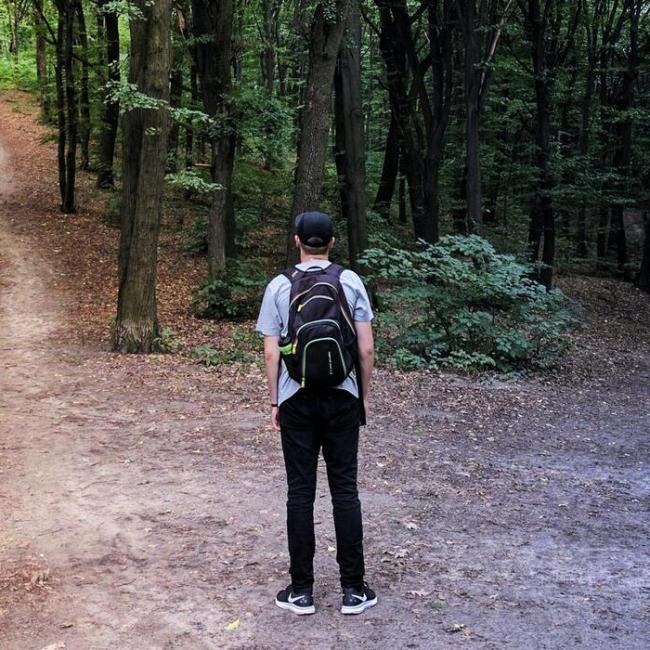 Person staring at two trails in a forest, separated by trees