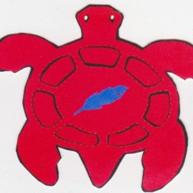 Aboriginal Community equity services logo; a red turtle 