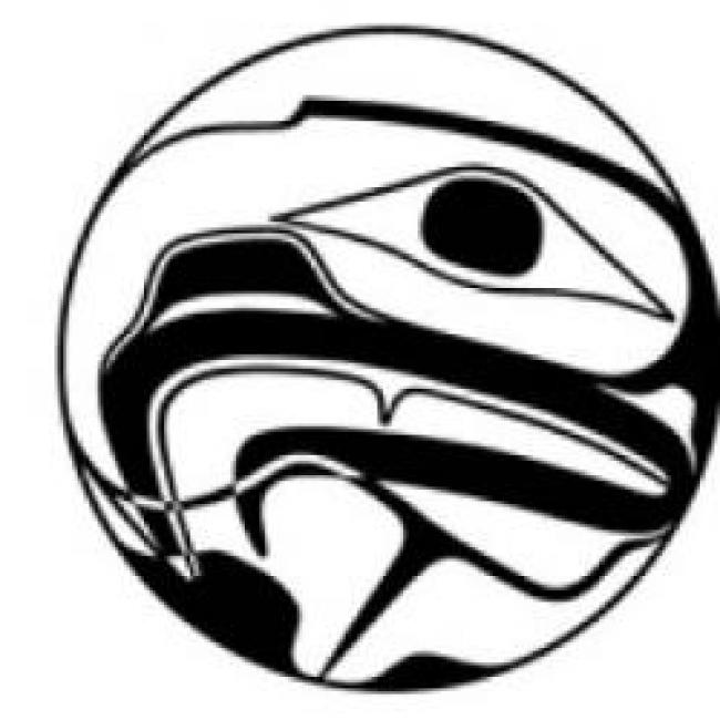 Aboriginal logo